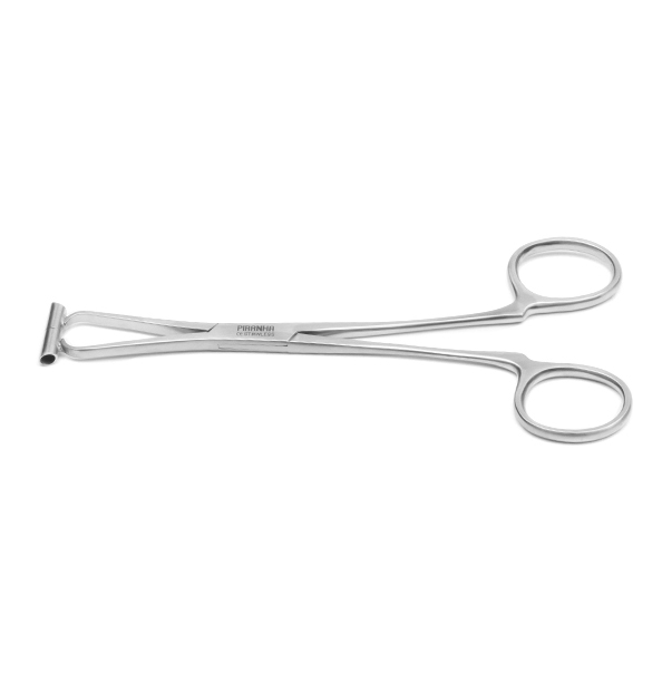 Septum-medio.jpg